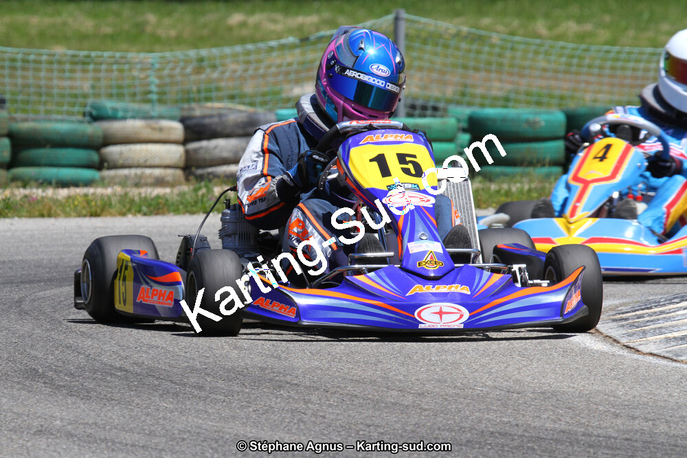 02/06/2013 : 4ème manche du Championnat du Sud 2013 à Alès (Photos Stéphane Agnus) 2013 — karting