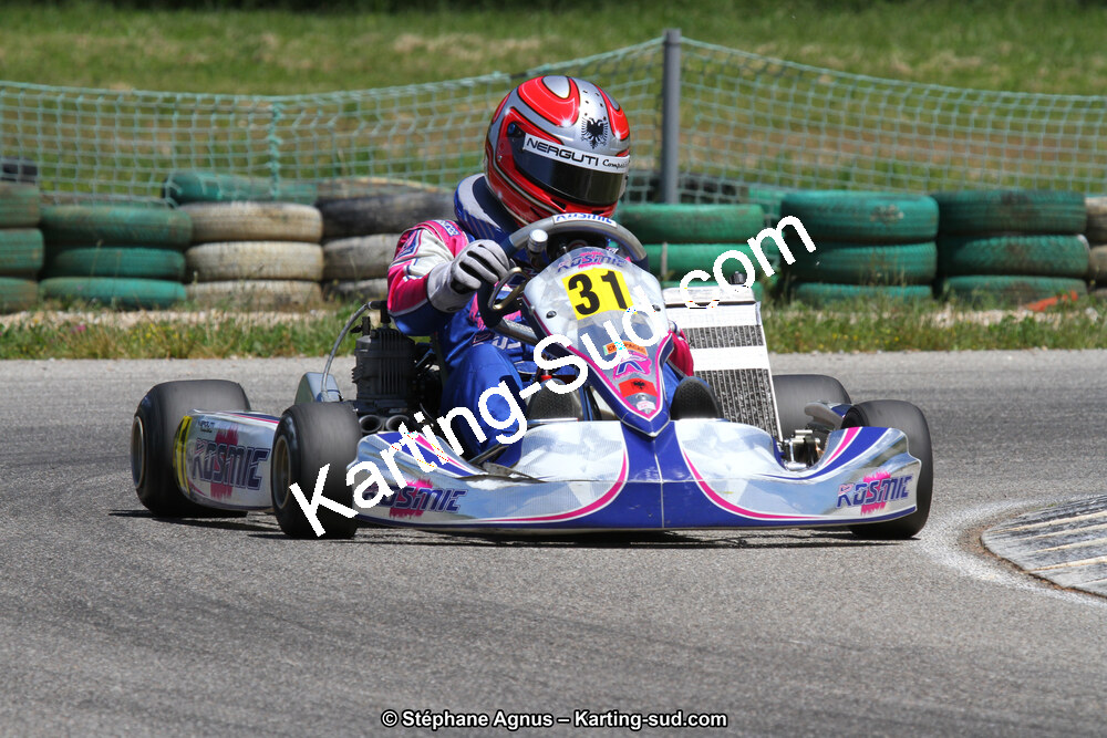 02/06/2013 : 4ème manche du Championnat du Sud 2013 à Alès (Photos Stéphane Agnus) 2013 — karting