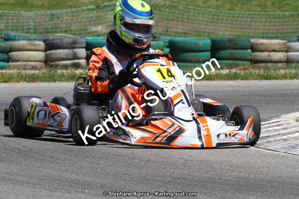 02/06/2013 : 4ème manche du Championnat du Sud 2013 à Alès (Photos Stéphane Agnus) 2013 — karting