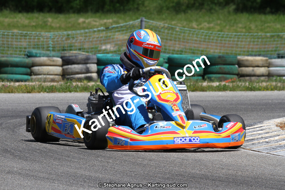 02/06/2013 : 4ème manche du Championnat du Sud 2013 à Alès (Photos Stéphane Agnus) 2013 — karting