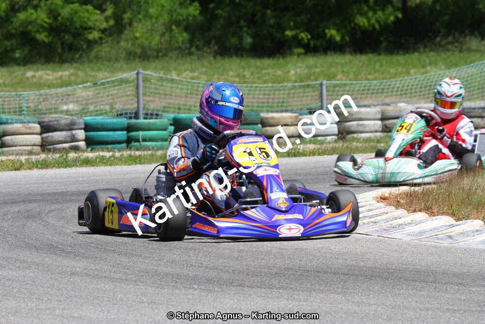 02/06/2013 : 4ème manche du Championnat du Sud 2013 à Alès (Photos Stéphane Agnus) 2013 — karting