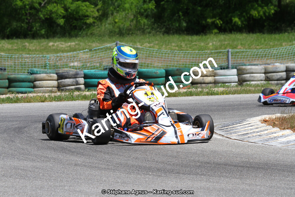 02/06/2013 : 4ème manche du Championnat du Sud 2013 à Alès (Photos Stéphane Agnus) 2013 — karting