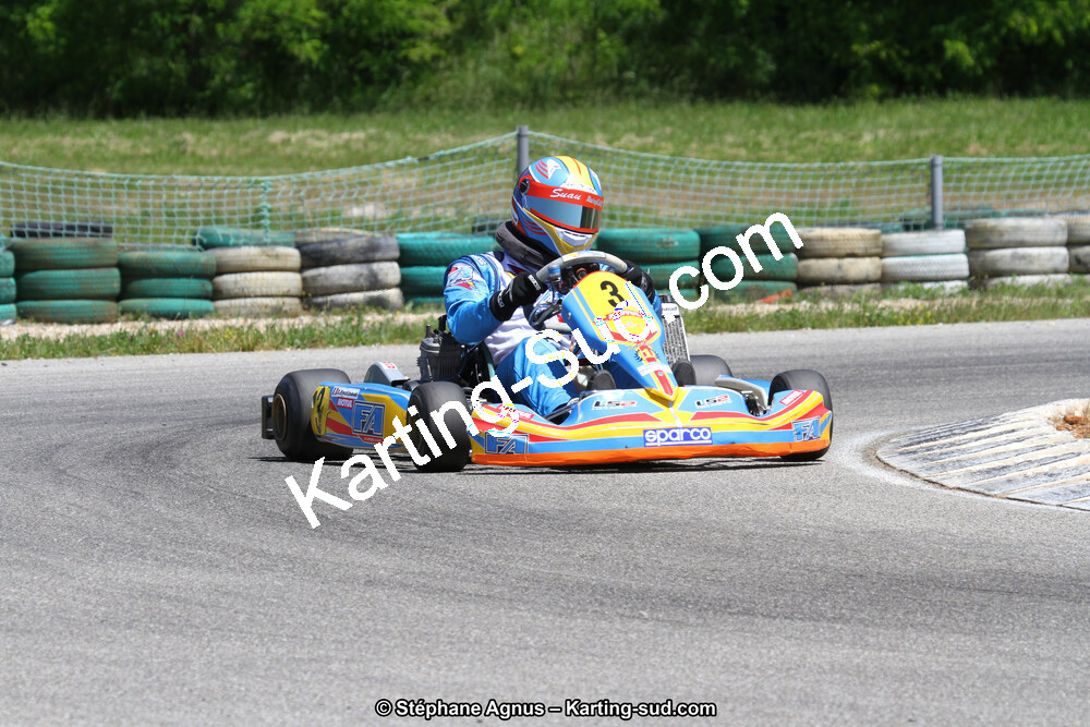 02/06/2013 : 4ème manche du Championnat du Sud 2013 à Alès (Photos Stéphane Agnus) 2013 — karting