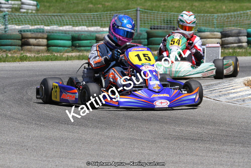 02/06/2013 : 4ème manche du Championnat du Sud 2013 à Alès (Photos Stéphane Agnus) 2013 — karting