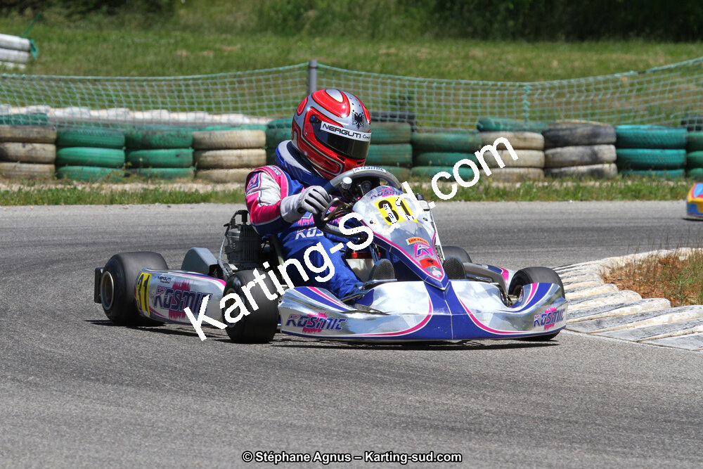02/06/2013 : 4ème manche du Championnat du Sud 2013 à Alès (Photos Stéphane Agnus) 2013 — karting