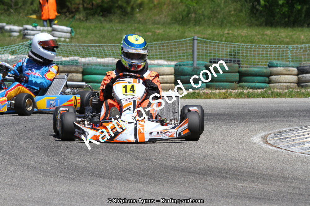 02/06/2013 : 4ème manche du Championnat du Sud 2013 à Alès (Photos Stéphane Agnus) 2013 — karting