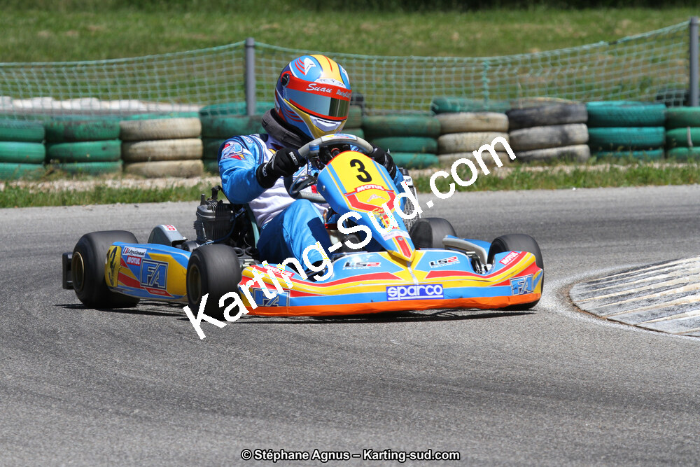 02/06/2013 : 4ème manche du Championnat du Sud 2013 à Alès (Photos Stéphane Agnus) 2013 — karting