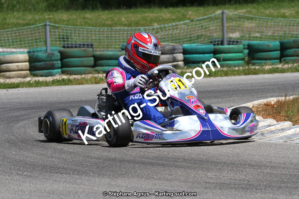 02/06/2013 : 4ème manche du Championnat du Sud 2013 à Alès (Photos Stéphane Agnus) 2013 — karting