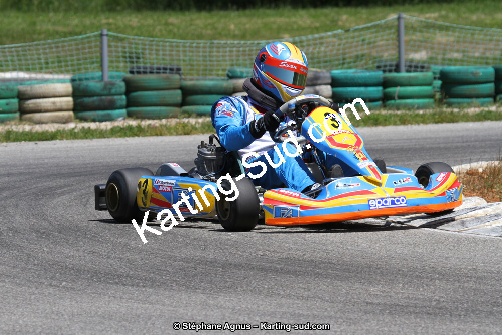 02/06/2013 : 4ème manche du Championnat du Sud 2013 à Alès (Photos Stéphane Agnus) 2013 — karting