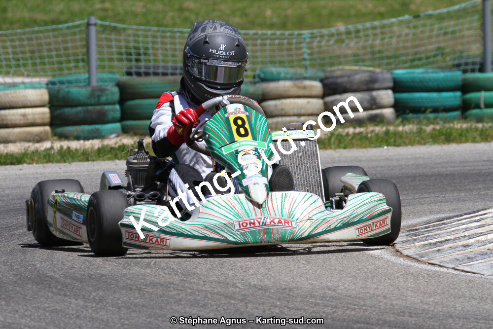 02/06/2013 : 4ème manche du Championnat du Sud 2013 à Alès (Photos Stéphane Agnus) 2013 — karting
