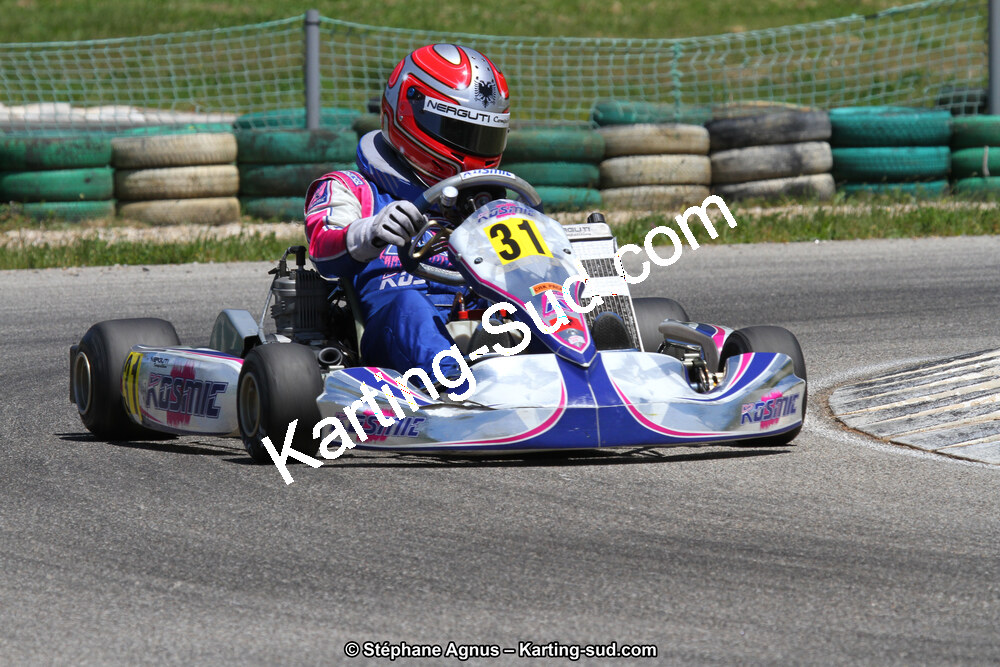02/06/2013 : 4ème manche du Championnat du Sud 2013 à Alès (Photos Stéphane Agnus) 2013 — karting