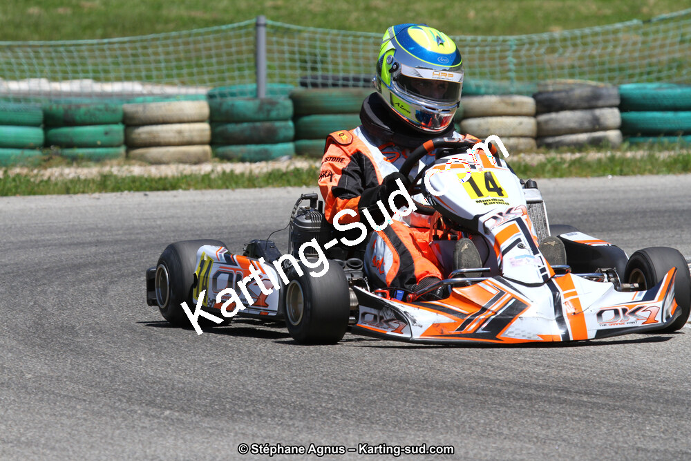 02/06/2013 : 4ème manche du Championnat du Sud 2013 à Alès (Photos Stéphane Agnus) 2013 — karting