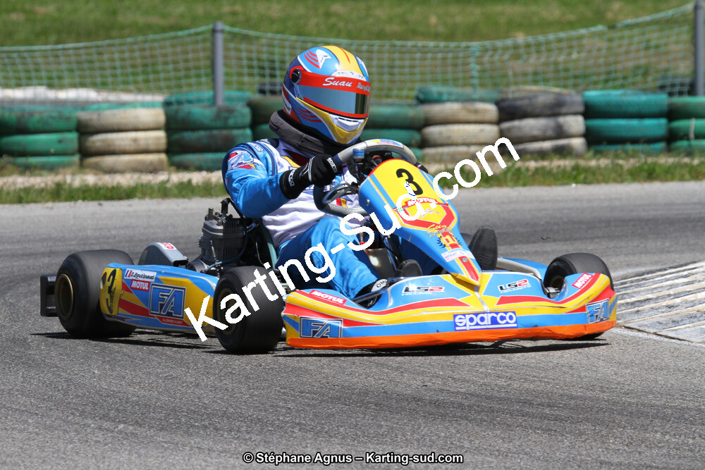 02/06/2013 : 4ème manche du Championnat du Sud 2013 à Alès (Photos Stéphane Agnus) 2013 — karting