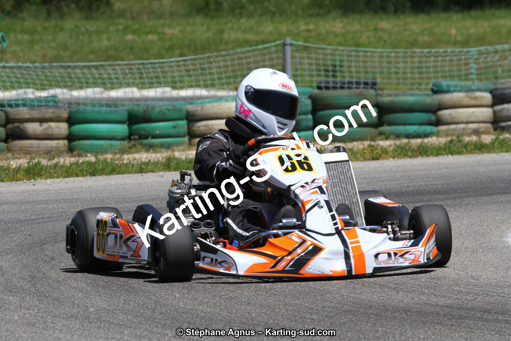 02/06/2013 : 4ème manche du Championnat du Sud 2013 à Alès (Photos Stéphane Agnus) 2013 — karting