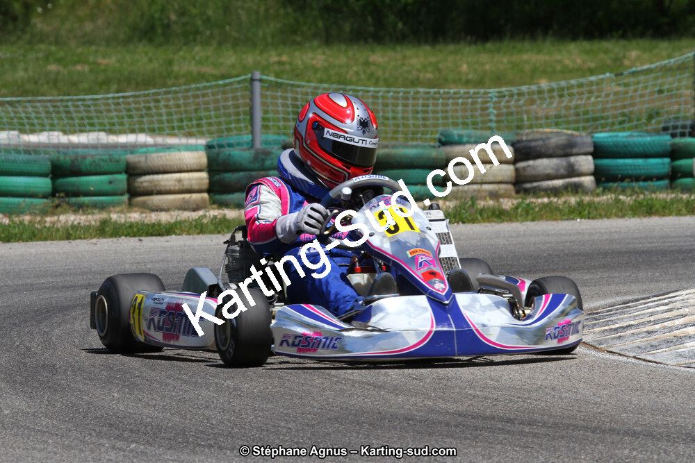 02/06/2013 : 4ème manche du Championnat du Sud 2013 à Alès (Photos Stéphane Agnus) 2013 — karting