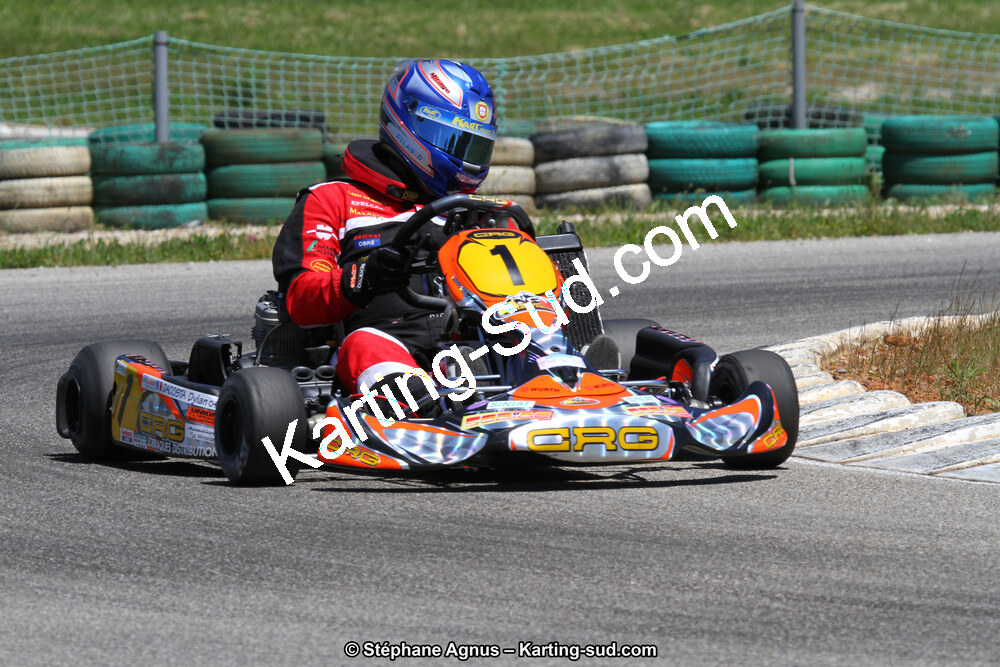 02/06/2013 : 4ème manche du Championnat du Sud 2013 à Alès (Photos Stéphane Agnus) 2013 — karting