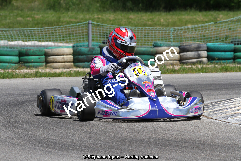 02/06/2013 : 4ème manche du Championnat du Sud 2013 à Alès (Photos Stéphane Agnus) 2013 — karting
