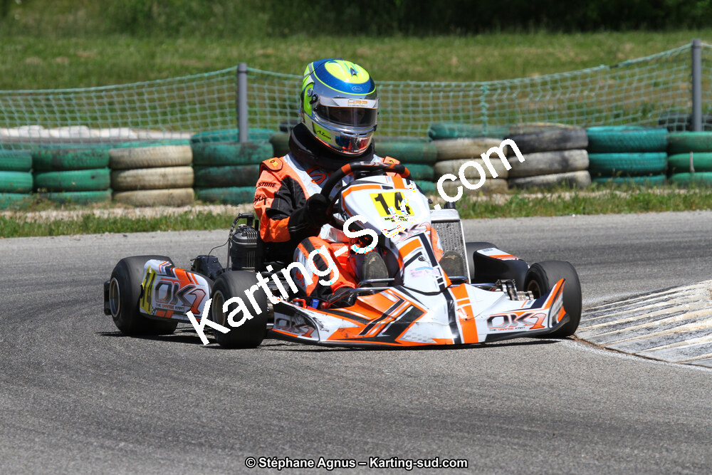 02/06/2013 : 4ème manche du Championnat du Sud 2013 à Alès (Photos Stéphane Agnus) 2013 — karting