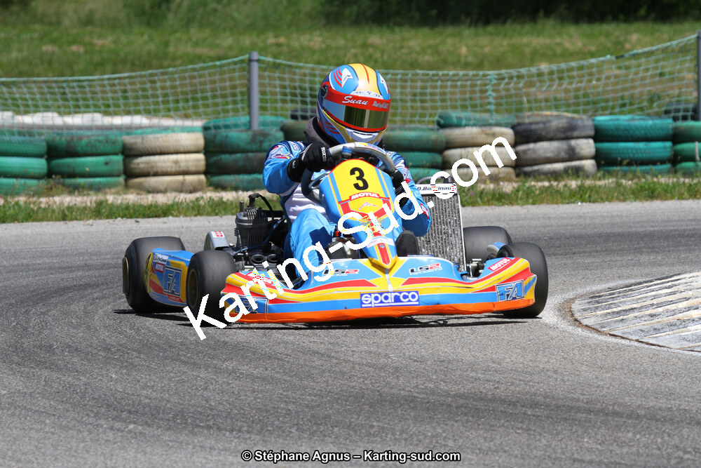 02/06/2013 : 4ème manche du Championnat du Sud 2013 à Alès (Photos Stéphane Agnus) 2013 — karting