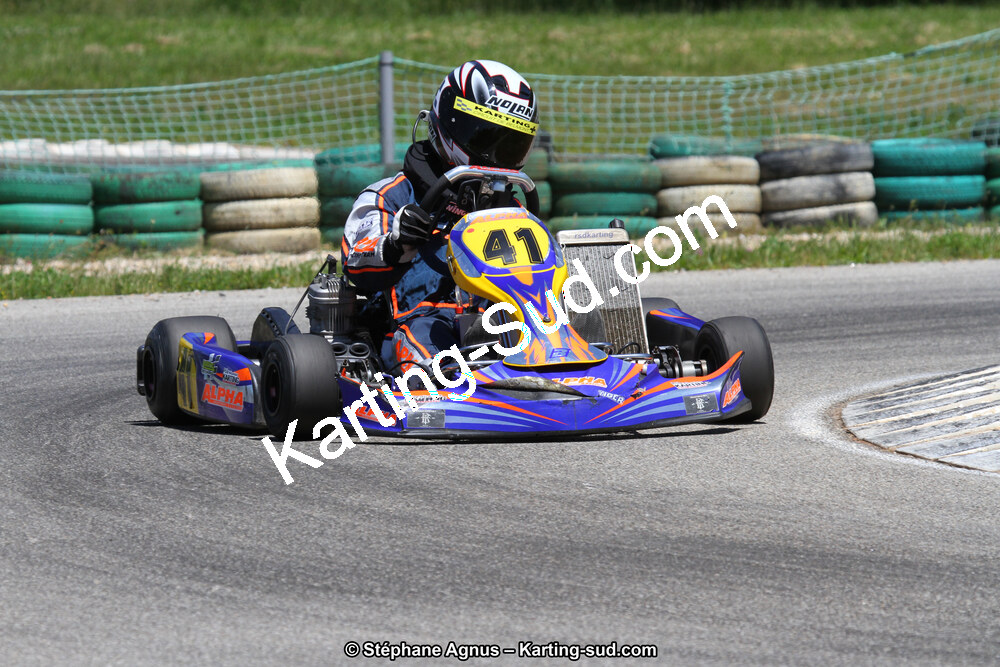 02/06/2013 : 4ème manche du Championnat du Sud 2013 à Alès (Photos Stéphane Agnus) 2013 — karting