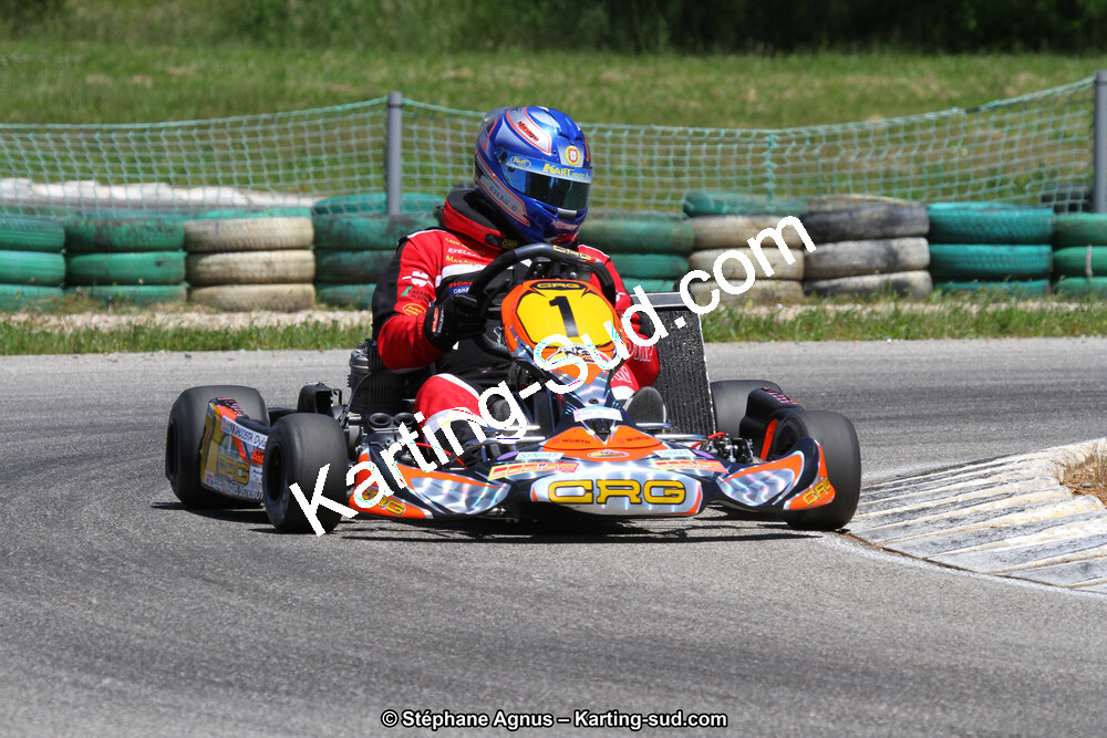 02/06/2013 : 4ème manche du Championnat du Sud 2013 à Alès (Photos Stéphane Agnus) 2013 — karting