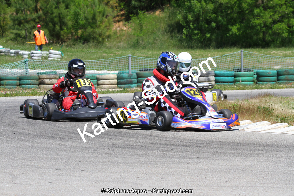 02/06/2013 : 4ème manche du Championnat du Sud 2013 à Alès (Photos Stéphane Agnus) 2013 — karting
