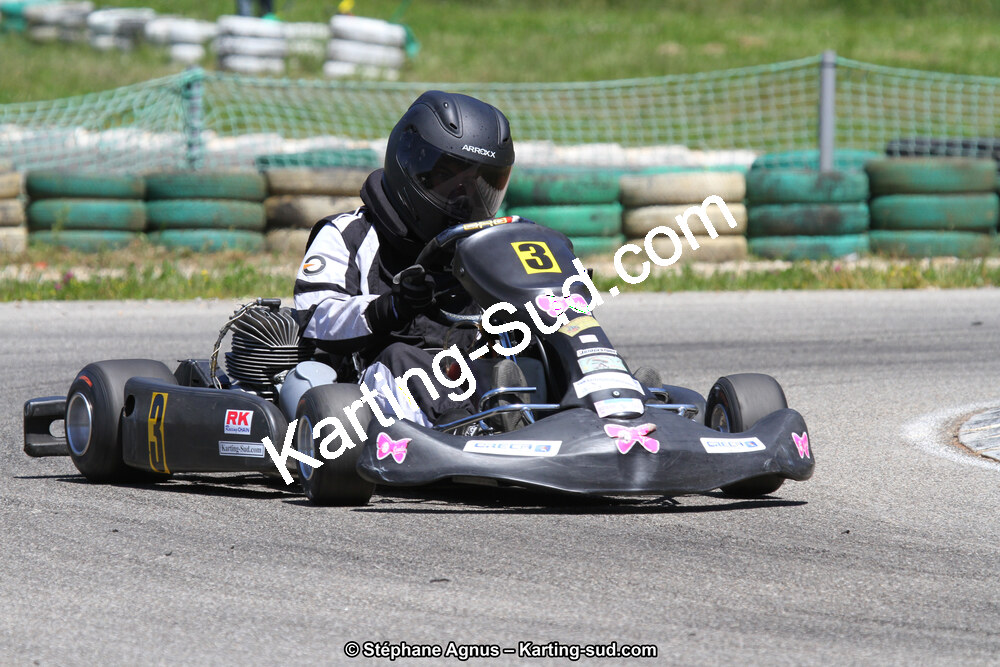 02/06/2013 : 4ème manche du Championnat du Sud 2013 à Alès (Photos Stéphane Agnus) 2013 — karting