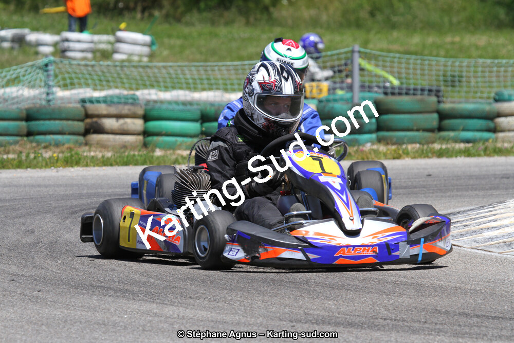 02/06/2013 : 4ème manche du Championnat du Sud 2013 à Alès (Photos Stéphane Agnus) 2013 — karting