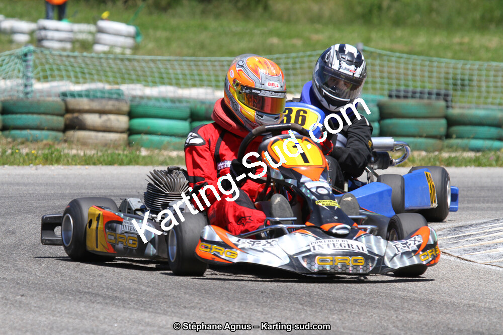 02/06/2013 : 4ème manche du Championnat du Sud 2013 à Alès (Photos Stéphane Agnus) 2013 — karting
