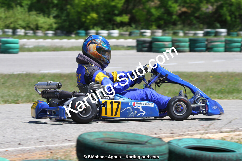 02/06/2013 : 4ème manche du Championnat du Sud 2013 à Alès (Photos Stéphane Agnus) 2013 — karting