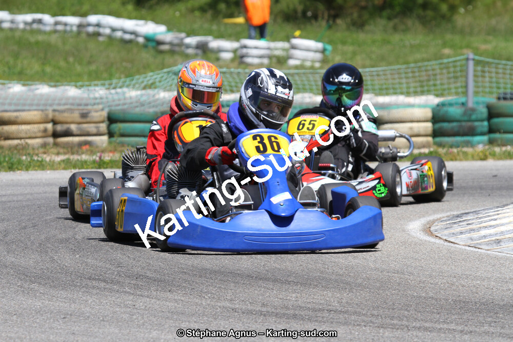 02/06/2013 : 4ème manche du Championnat du Sud 2013 à Alès (Photos Stéphane Agnus) 2013 — karting