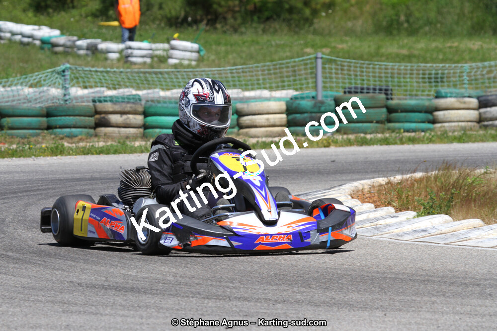 02/06/2013 : 4ème manche du Championnat du Sud 2013 à Alès (Photos Stéphane Agnus) 2013 — karting