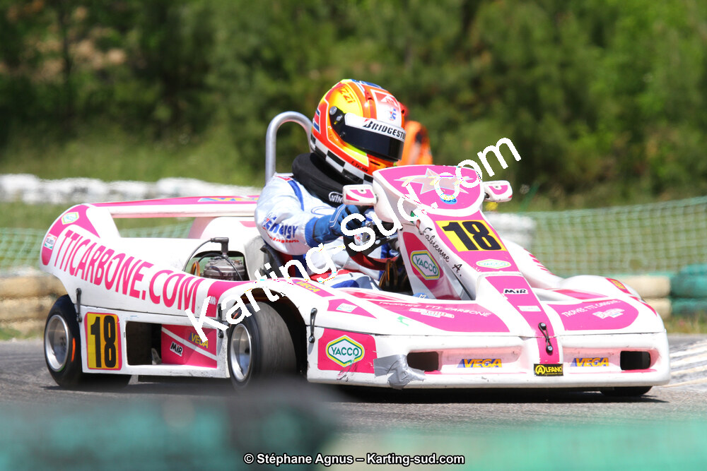 02/06/2013 : 4ème manche du Championnat du Sud 2013 à Alès (Photos Stéphane Agnus) 2013 — karting