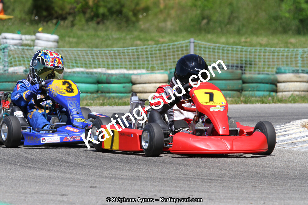 02/06/2013 : 4ème manche du Championnat du Sud 2013 à Alès (Photos Stéphane Agnus) 2013 — karting