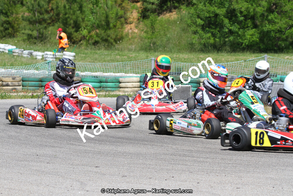 02/06/2013 : 4ème manche du Championnat du Sud 2013 à Alès (Photos Stéphane Agnus) 2013 — karting