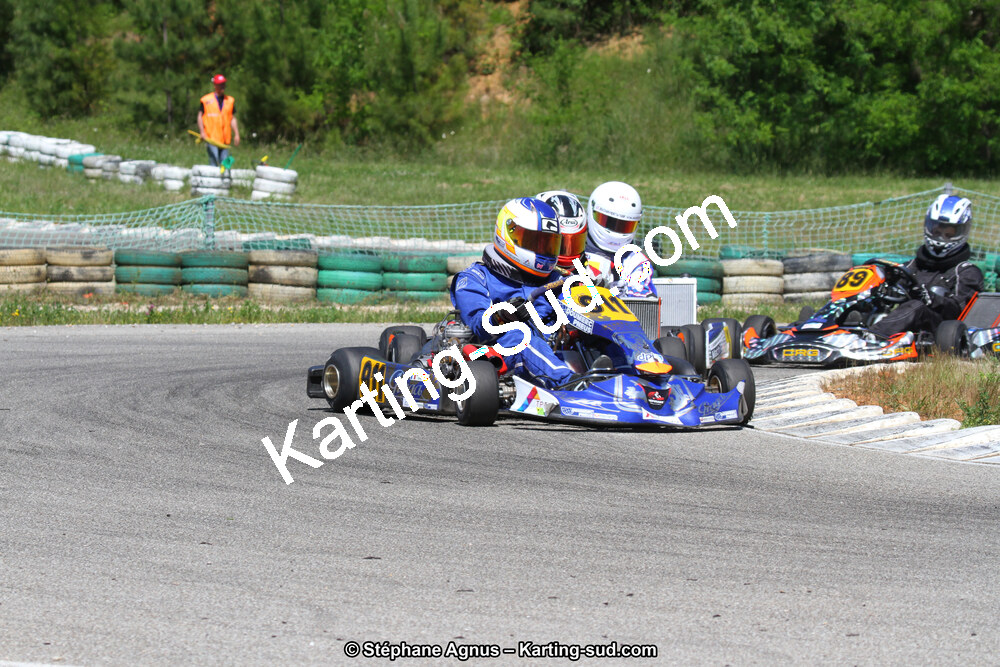 02/06/2013 : 4ème manche du Championnat du Sud 2013 à Alès (Photos Stéphane Agnus) 2013 — karting