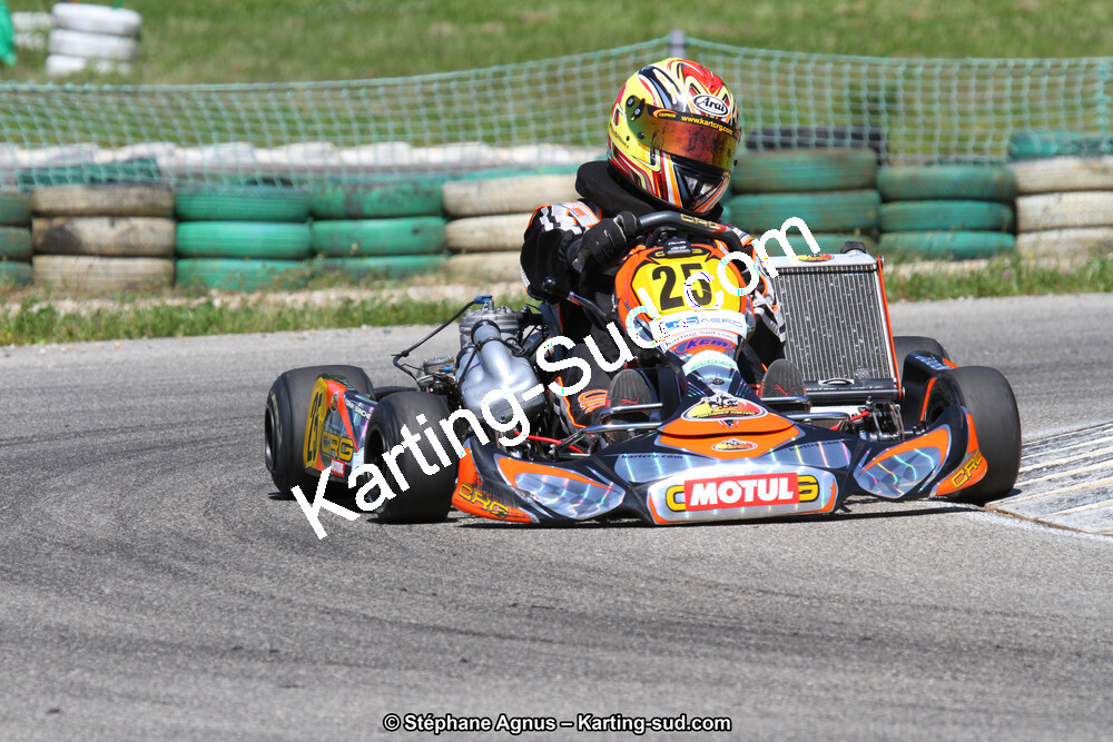 02/06/2013 : 4ème manche du Championnat du Sud 2013 à Alès (Photos Stéphane Agnus) 2013 — karting