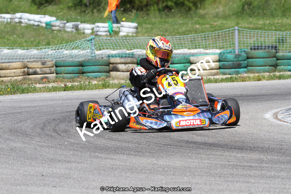 02/06/2013 : 4ème manche du Championnat du Sud 2013 à Alès (Photos Stéphane Agnus) 2013 — karting