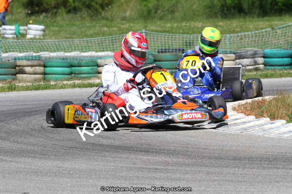 02/06/2013 : 4ème manche du Championnat du Sud 2013 à Alès (Photos Stéphane Agnus) 2013 — karting
