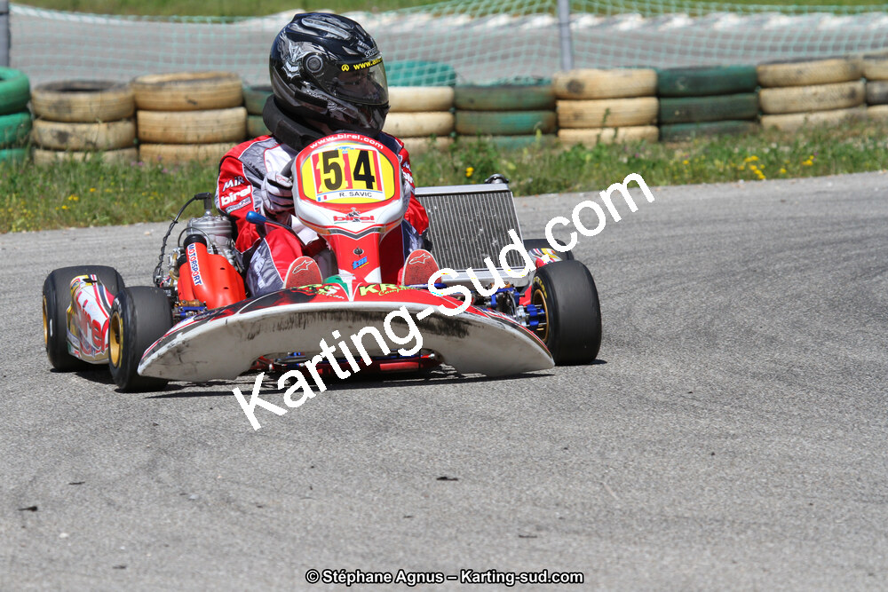 02/06/2013 : 4ème manche du Championnat du Sud 2013 à Alès (Photos Stéphane Agnus) 2013 — karting