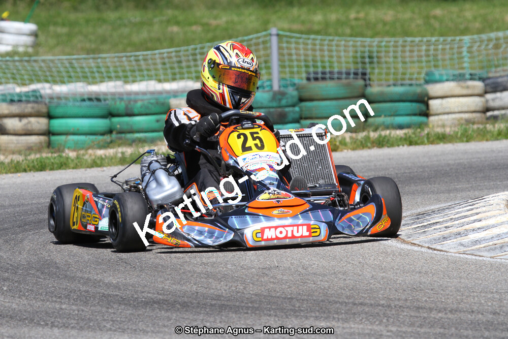 02/06/2013 : 4ème manche du Championnat du Sud 2013 à Alès (Photos Stéphane Agnus) 2013 — karting
