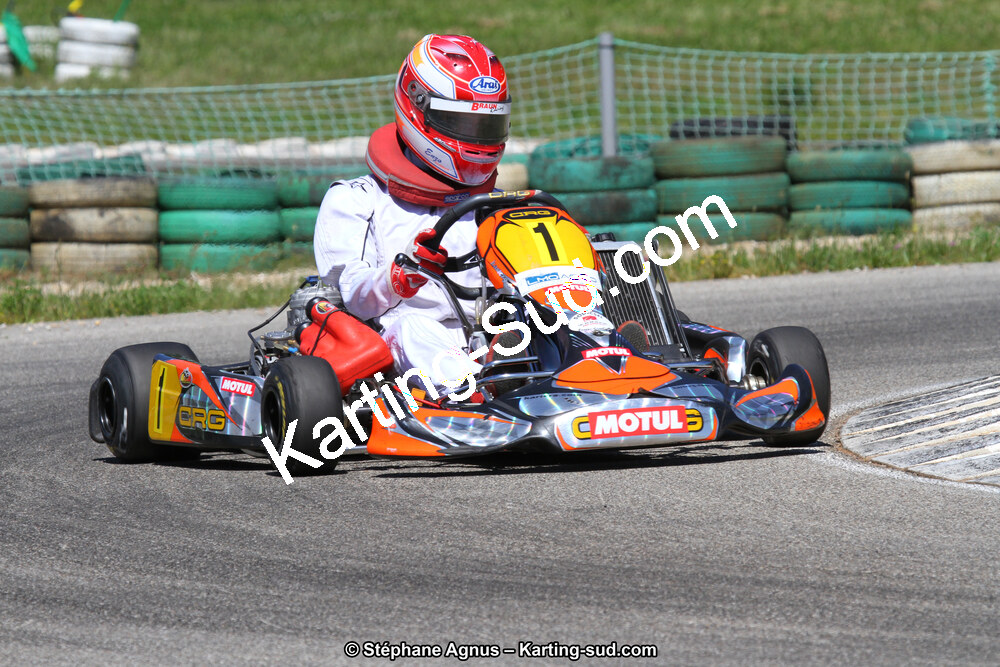 02/06/2013 : 4ème manche du Championnat du Sud 2013 à Alès (Photos Stéphane Agnus) 2013 — karting