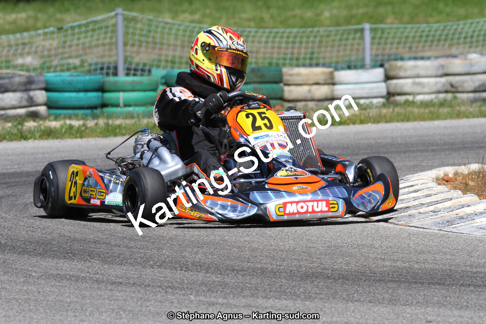 02/06/2013 : 4ème manche du Championnat du Sud 2013 à Alès (Photos Stéphane Agnus) 2013 — karting