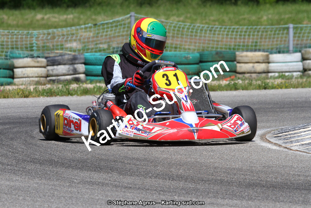 02/06/2013 : 4ème manche du Championnat du Sud 2013 à Alès (Photos Stéphane Agnus) 2013 — karting