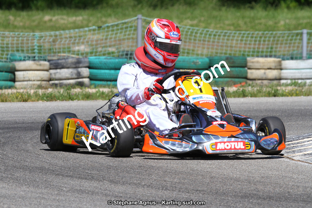 02/06/2013 : 4ème manche du Championnat du Sud 2013 à Alès (Photos Stéphane Agnus) 2013 — karting