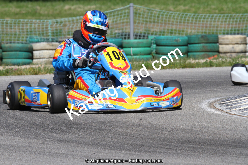 02/06/2013 : 4ème manche du Championnat du Sud 2013 à Alès (Photos Stéphane Agnus) 2013 — karting