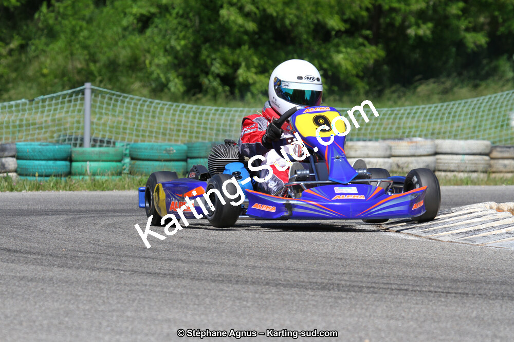 02/06/2013 : 4ème manche du Championnat du Sud 2013 à Alès (Photos Stéphane Agnus) 2013 — karting