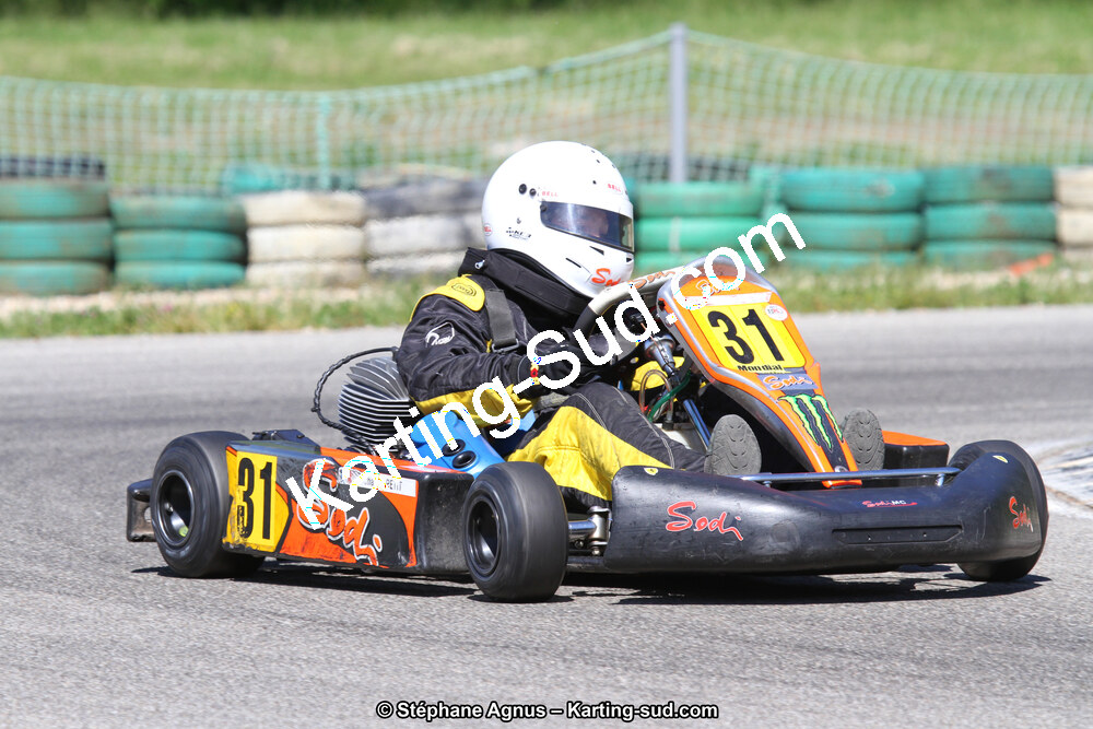 02/06/2013 : 4ème manche du Championnat du Sud 2013 à Alès (Photos Stéphane Agnus) 2013 — karting