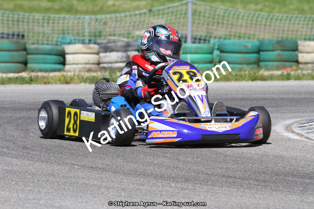 02/06/2013 : 4ème manche du Championnat du Sud 2013 à Alès (Photos Stéphane Agnus) 2013 — karting
