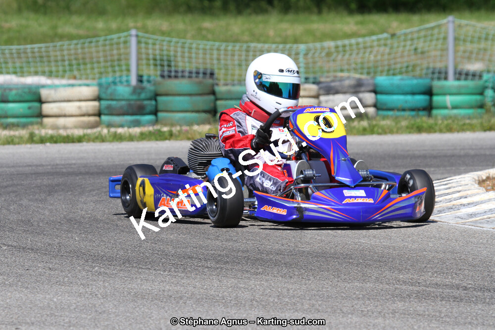 02/06/2013 : 4ème manche du Championnat du Sud 2013 à Alès (Photos Stéphane Agnus) 2013 — karting